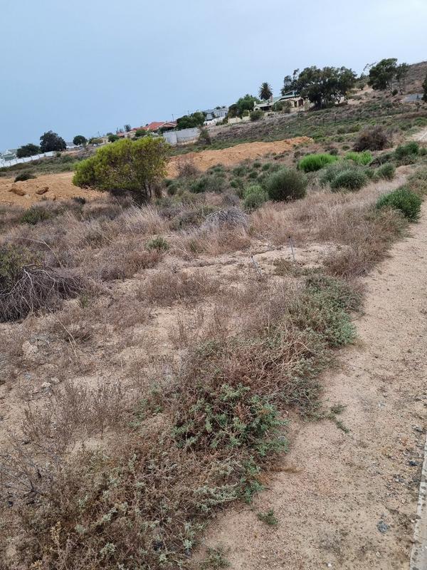 0 Bedroom Property for Sale in St Helena Views Western Cape